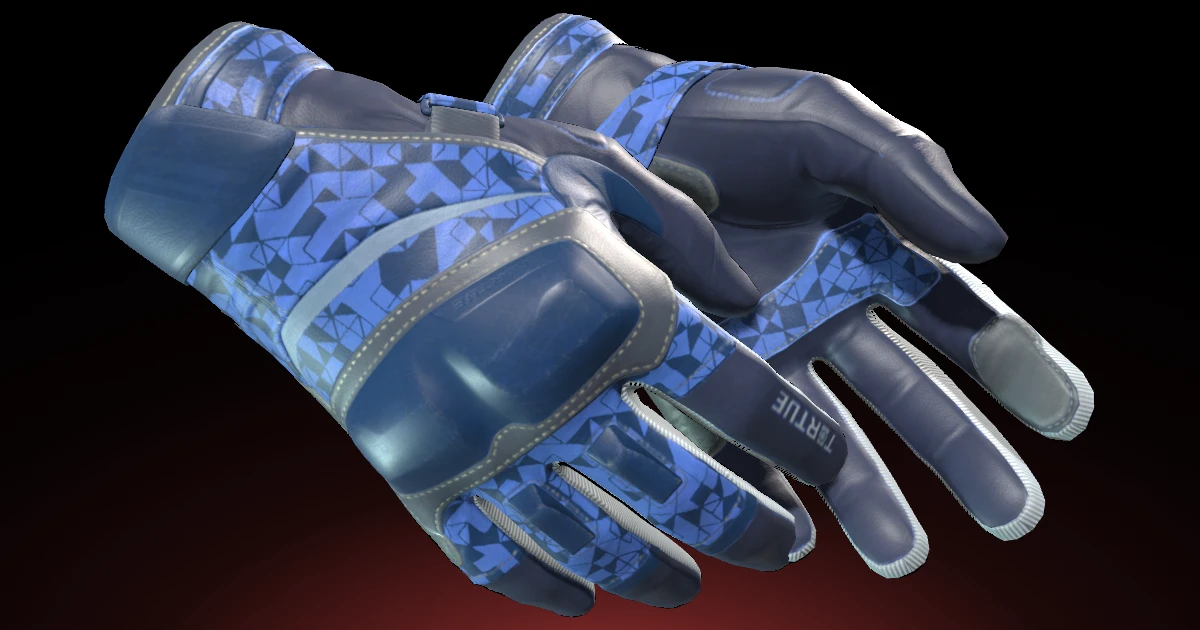 Moto Gloves | Polygon skin in CS2