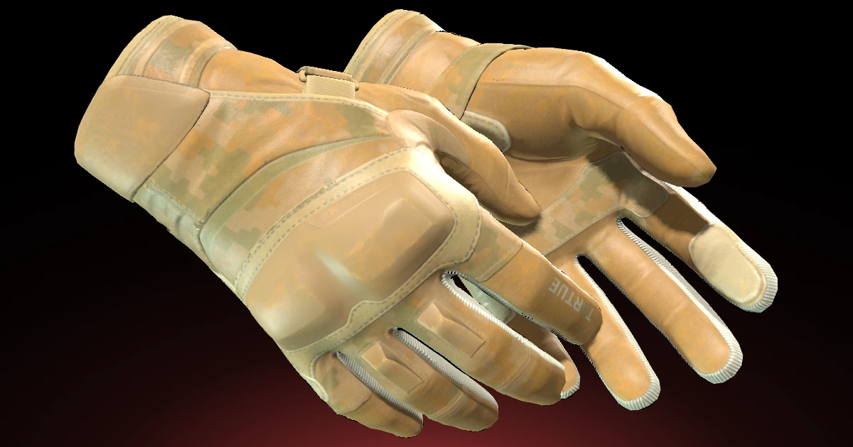 Moto Gloves | Transport skin in CS2