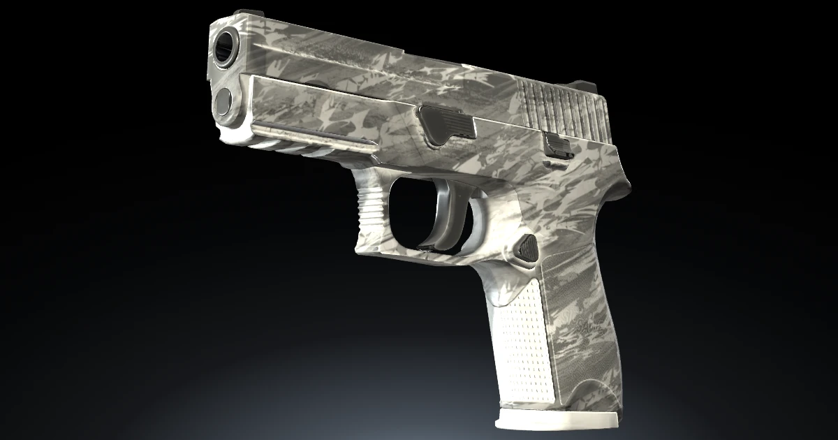P250 | Sleet skin in CS2
