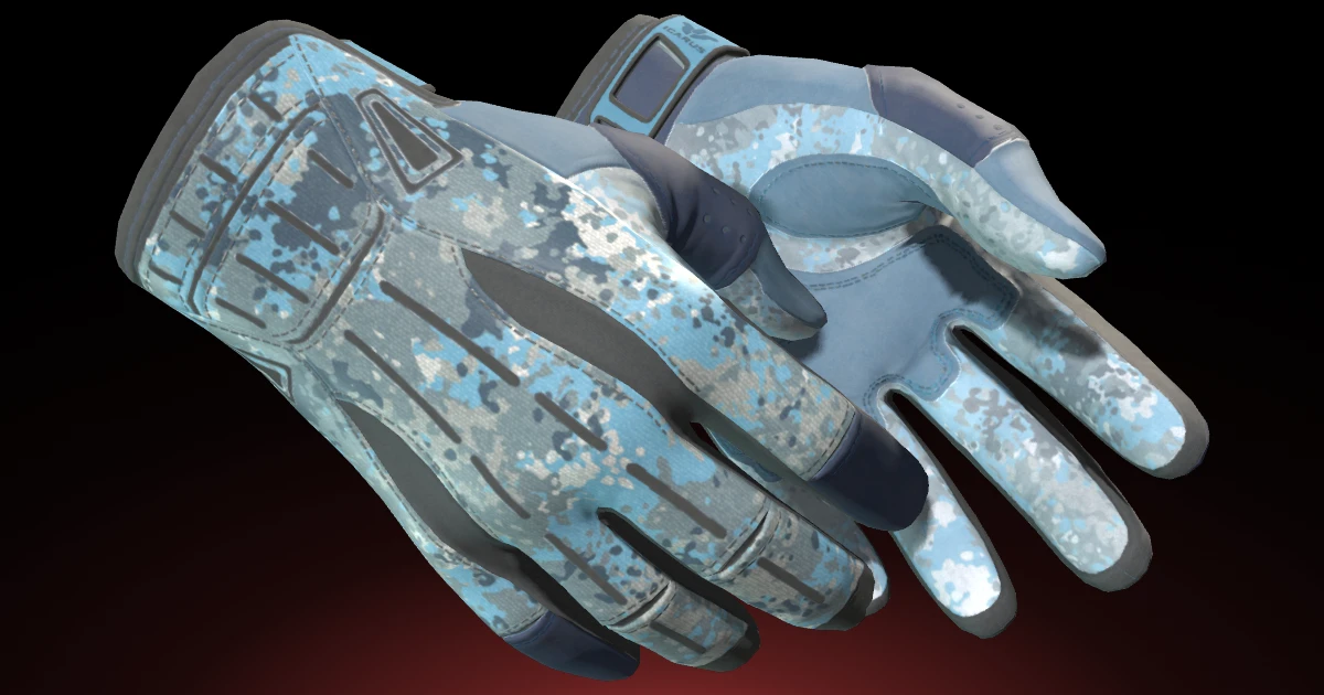 Sport Gloves | Frosty skin in CS2
