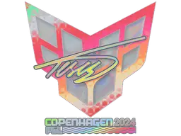 TeSeS (Holo) | Copenhagen 2024 sticker