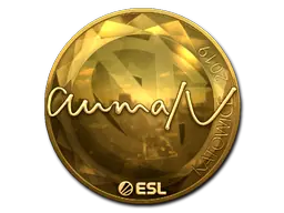 aumaN (Gold) | Katowice 2019 sticker