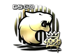 FURIA (Gold) | 2020 RMR sticker