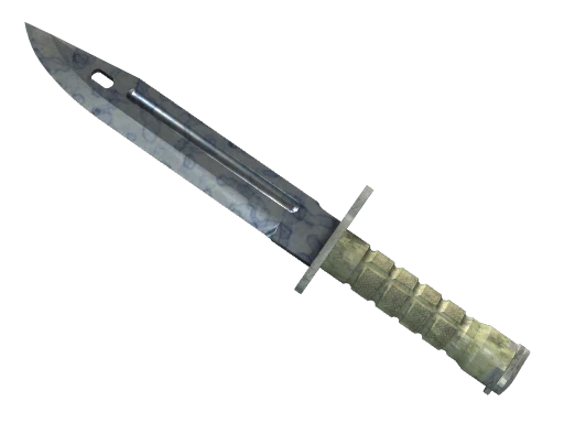 ★ Bayonet | Stained (Field-Tested)