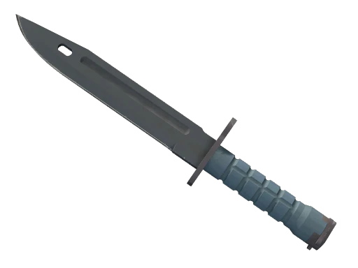 ★ Bayonet | Night (Field-Tested)