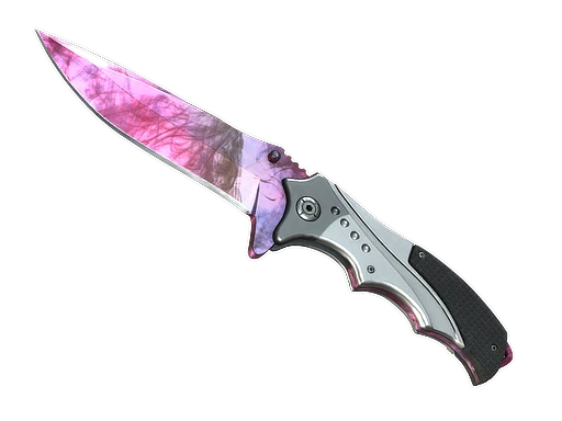 Nomad Knife | Doppler