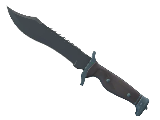 ★ Bowie Knife | Night (Field-Tested)