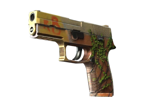 P250 | Inferno (Field-Tested)