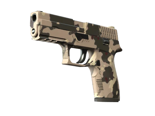 P250 | Black & Tan (Battle-Scarred)