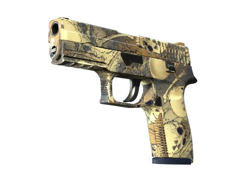 P250 | Contamination (Well-Worn)