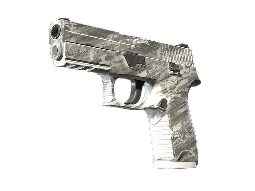 P250 | Sleet (Field-Tested)