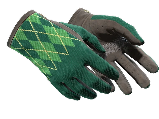 ★ Driver Gloves | Hand Sweaters (Field-Tested)