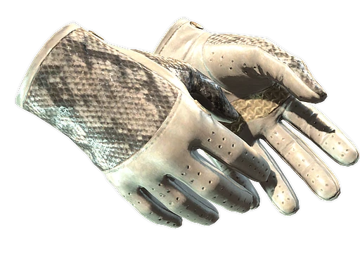 ★ Driver Gloves | King Snake (Field-Tested)