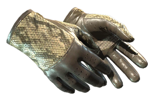 ★ Driver Gloves | Diamondback (Well-Worn)