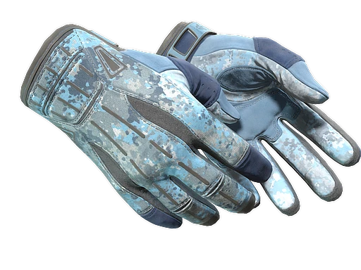 ★ Sport Gloves | Frosty (Field-Tested)